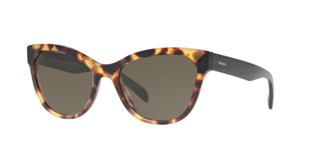 Oakley BO887 Clubmaster